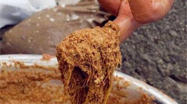 秋季钓罗非为啥空军？钓友留意这“三点经验”大罗非上不停