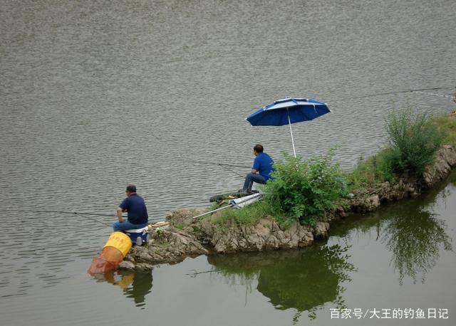 野钓河流有鱼无口，其实不只和钓技有关！找对步骤才是关键