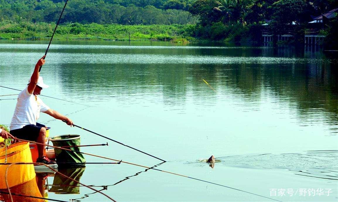 “三看一听”选钓位，这些都是鱼扎堆的钓点