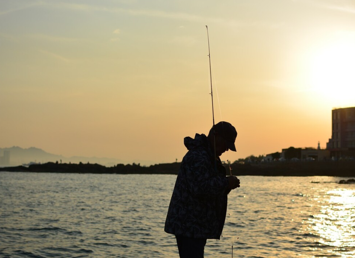 “方法用得好，鲤鱼没得跑”几个技巧教你如何钓鲤鱼
