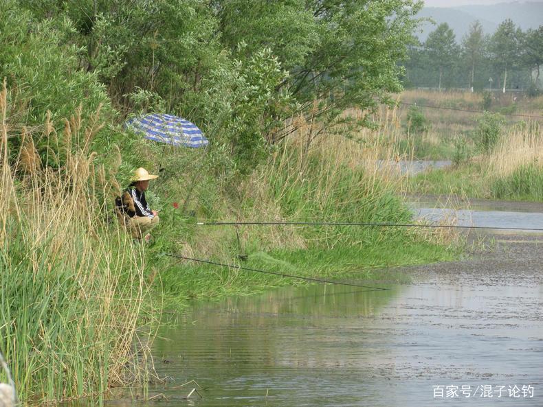 盛夏钓鲢鳙五步走，上鱼几十斤不成问题