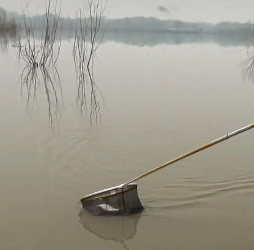 冬季钓鲫鱼的注意事项