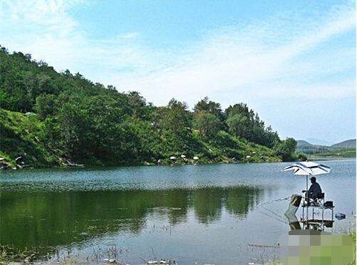 这种选位技巧被视为上鱼绝学，钓罗非正合适，比钓鲫鱼爽多了！