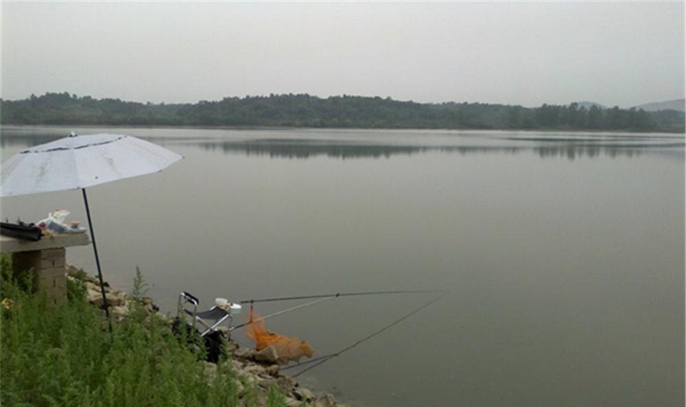 钓鲤鱼谈何容易，学会这“三大调整”也能钓过瘾，钓友不妨试试