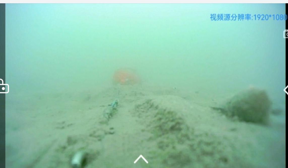 春季野钓，钓点，钓位如何选择（河流篇）