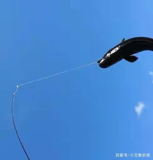分享野钓大黑鱼的佳使用技巧