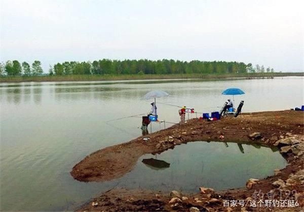 昼夜温差大钓位选择是关键，地形更是重中之重，选好了上鱼不再难