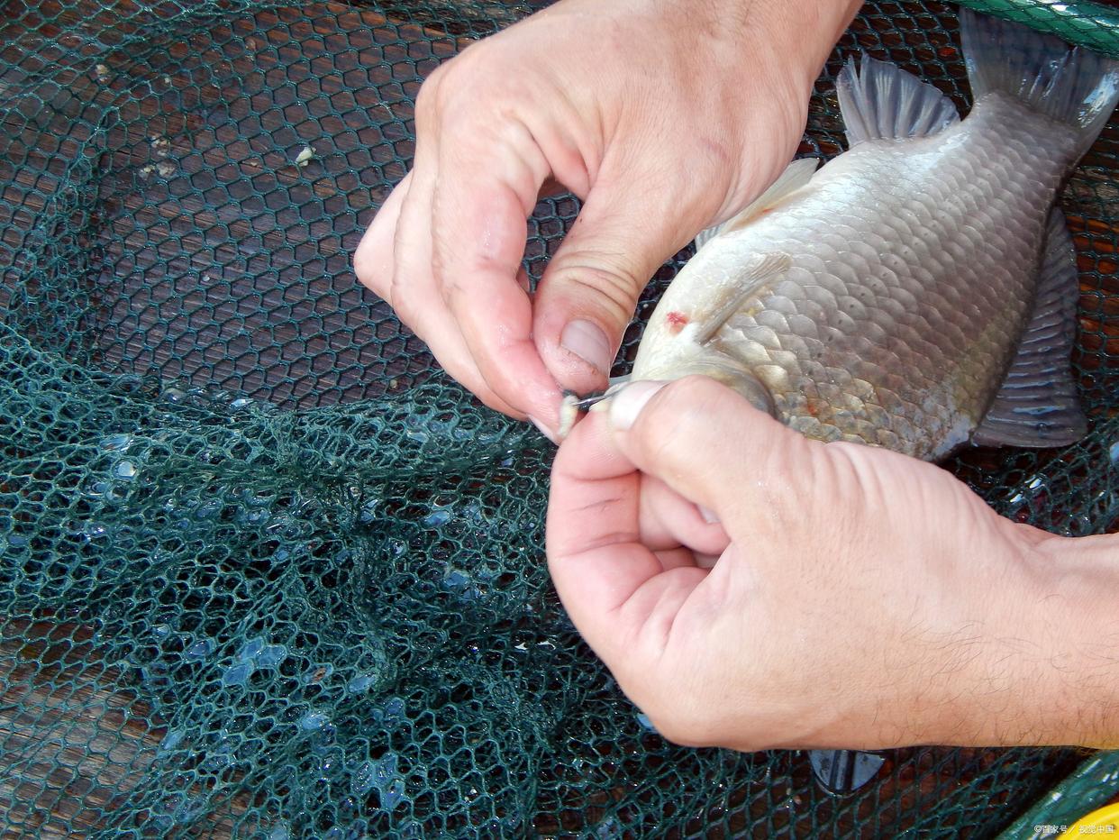 选对正确钓点，让你野钓轻松爆护