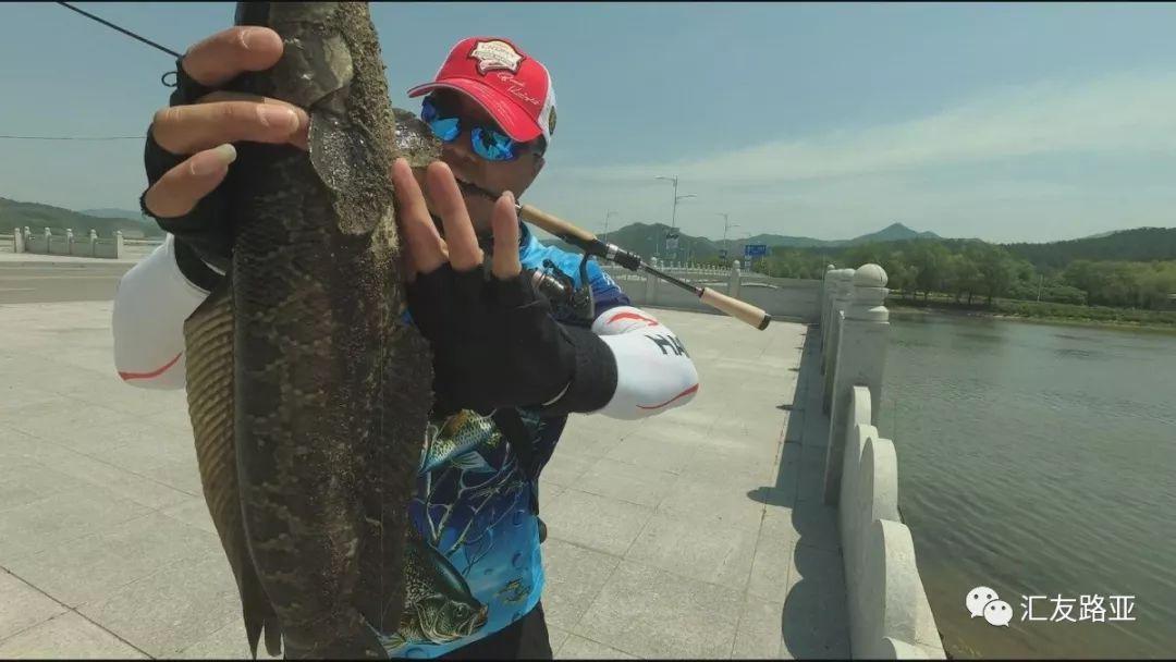 路亚目视作钓黑鱼视频