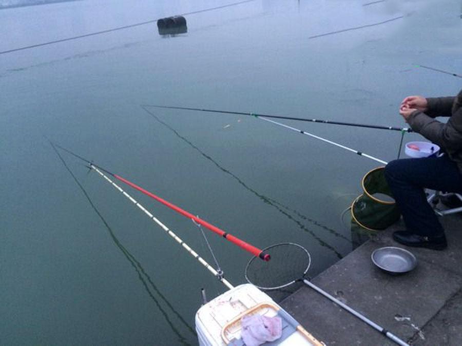 冬季鲢鳙难钓吗？实战经验让我打破了这个偏见