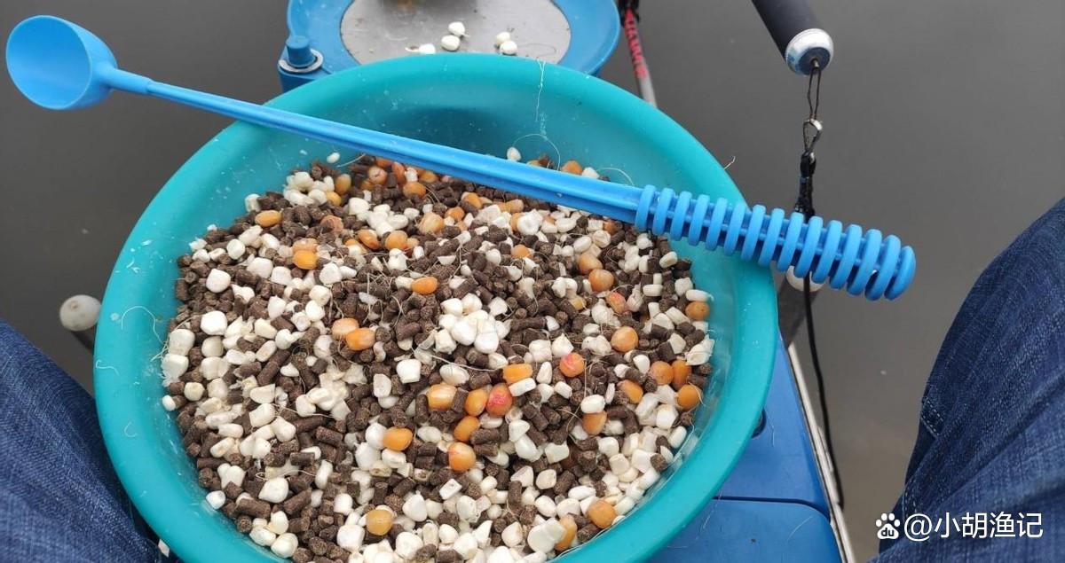 谷雨过后钓鲤鱼，掌握这5个关键点，轻松收获大鲤鱼！