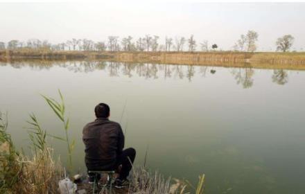 如何钓到狡猾的黑鱼，看这里，黑鱼乖乖上钩！