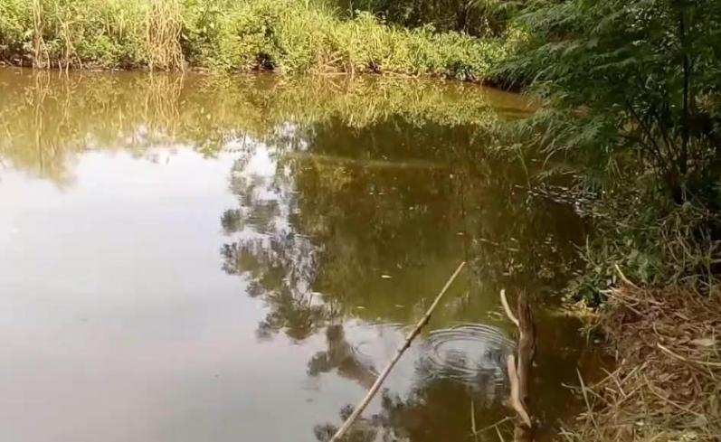 如何钓大罗非鱼？秘籍在这里