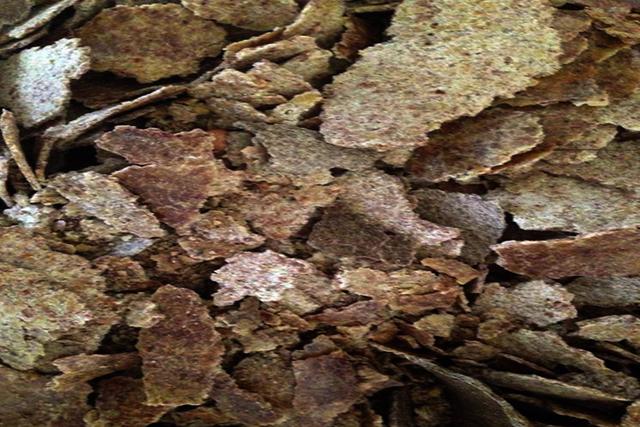 野钓窝料这样搭配，钓点鱼星不断，配方送给钓鱼人