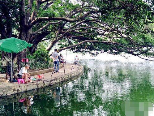 春天野钓时，能有这几种钓鲤绝学，你就偷着乐把！用过才知道多牛