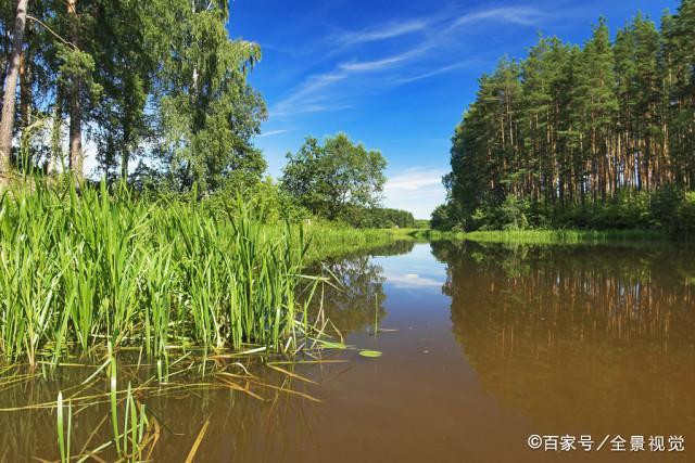 野河钓鱼钓位选择难？简单权衡三个方面即可轻松筛选出理想钓位