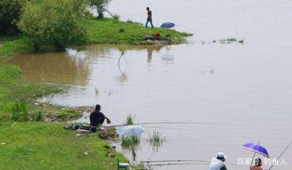 老钓友手把手教你钓青鱼，给你加持六大全套技巧，小白变老司机！