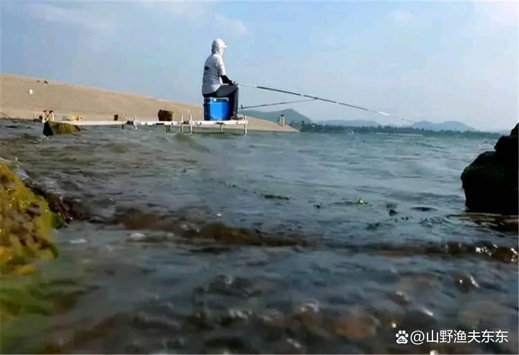 夏天垂钓鲤鱼需要注意哪些方面？学会这五个方面，何愁鱼儿不上钩