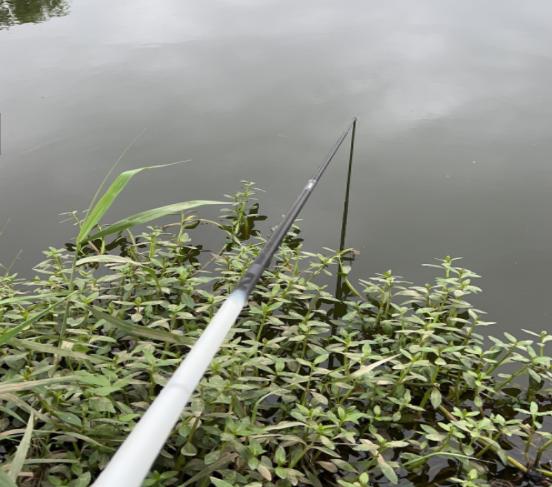 钓鲢鳙6个实用技巧，如何做到不再锚鱼？钩距、水层影响中鱼几率