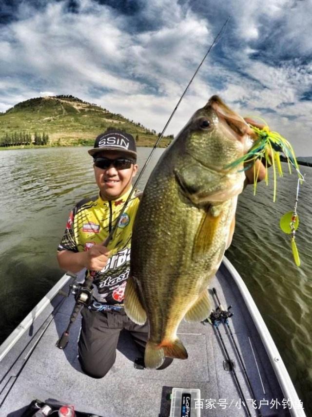 雷强钓法——一种源自日本特殊又极端的黑鱼钓法