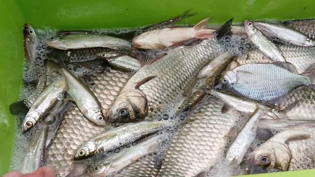 惊蛰前后野钓攻略，易爆护鱼口好，选好钓点最重要