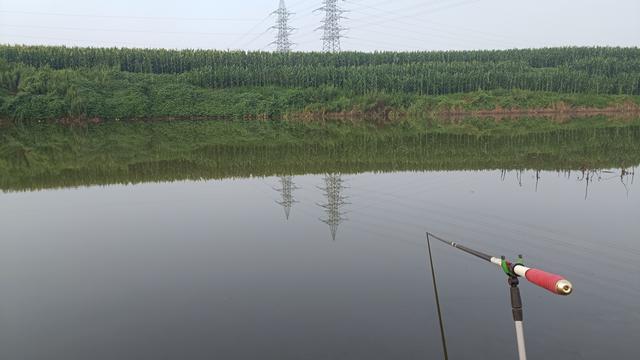 春季野钓“大板鲫”的黄金法则，选饵选位是重点，吃透爆护不难