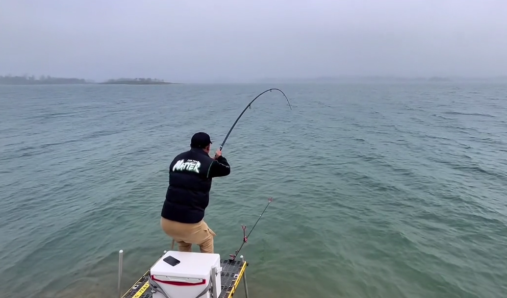 价值上万？男子在丹江口钓起“96斤青鱼王”，网友要求其放生