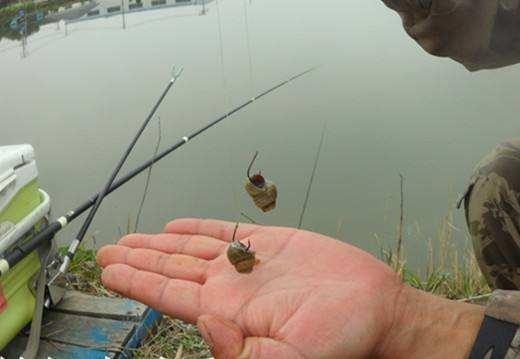 掌握钓青鱼的技巧，冬天钓青鱼比鲫鱼还好钓，气温再低也不怕