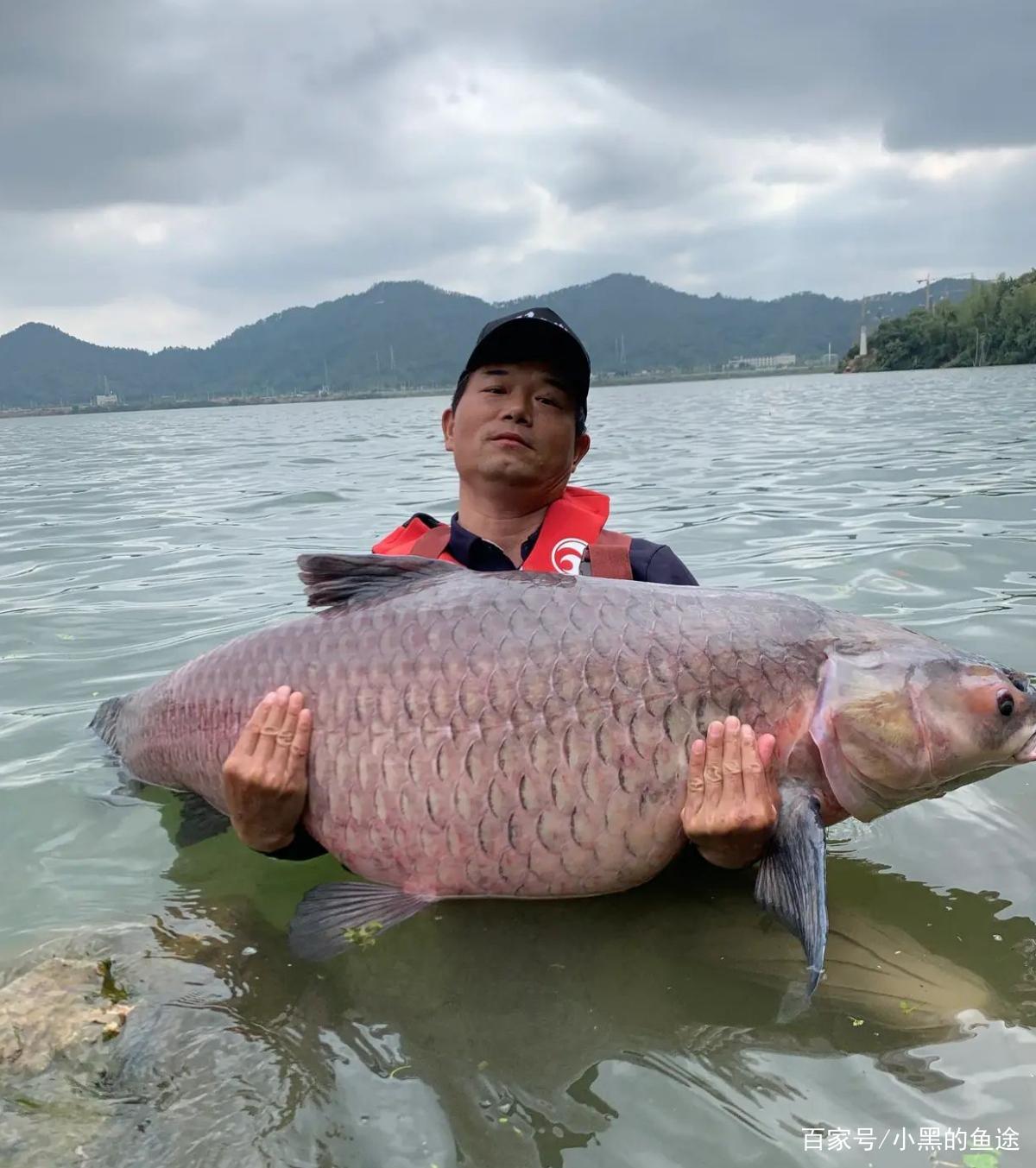 邓刚钓获百斤大青鱼引发争议，钓友质疑的不是鱼，而是大师