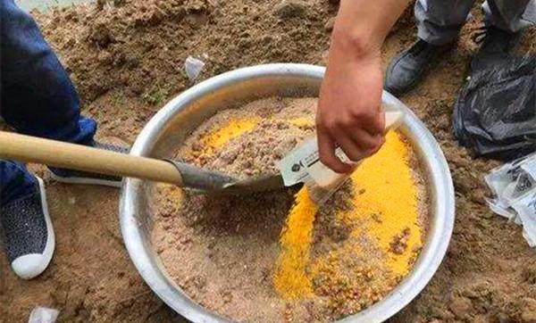 春钓大鲤鱼，关键套路是这几个，春钓鲤鱼一点也不难