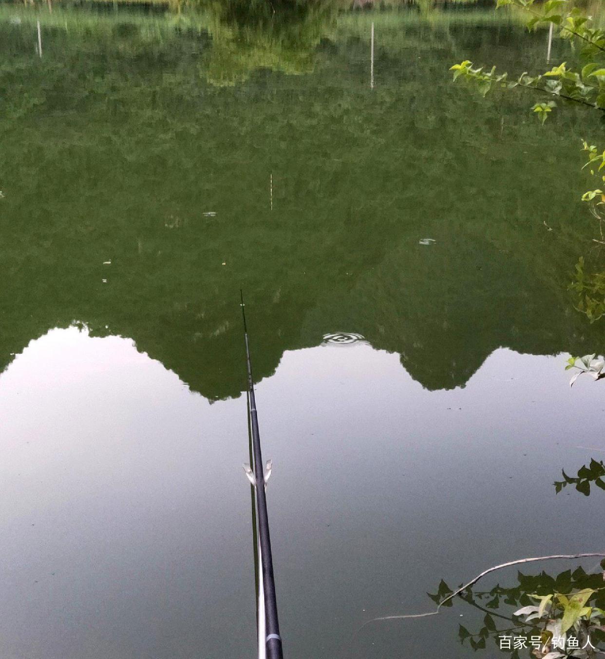 难敌白昼三伏天，趁着夜色钓罗非，总渔获七八斤