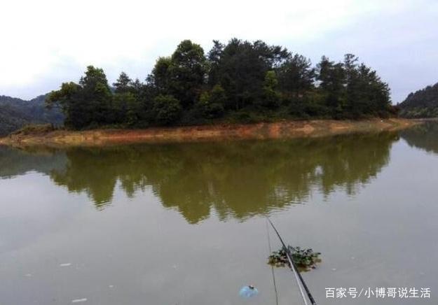钓鳊鱼的小技巧，在钓位上有什么选择，小编我来告诉你！