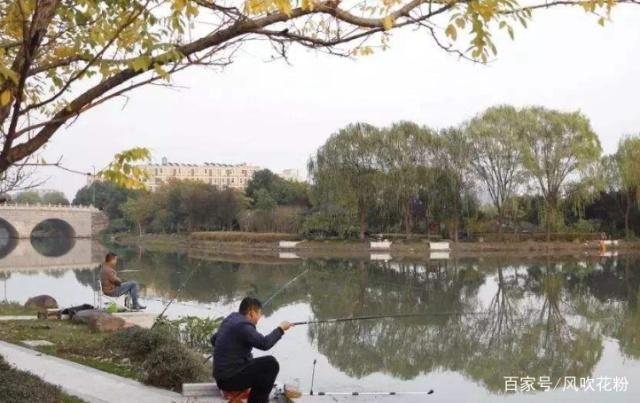 垂钓鳊鱼一定要注意这几点，学会这些，就等着爆护吧