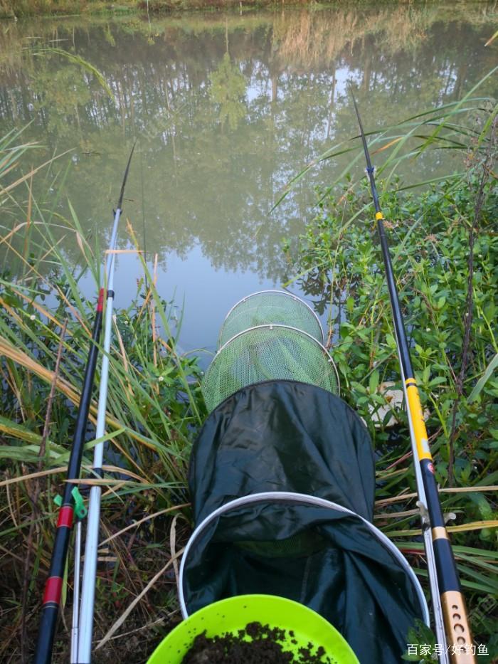 野钓农河，与鳊鱼无缘，却迎来鲫鱼爆护，爽