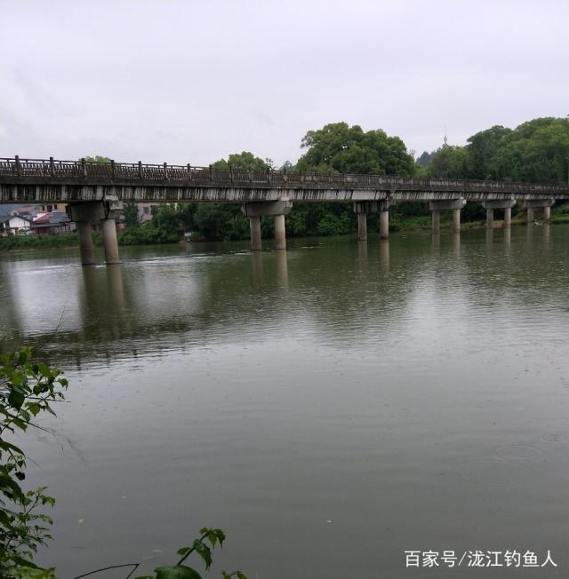 雨中江河钓鳊鱼的一些方法