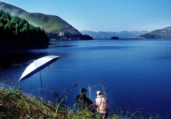 学会了钓获鳊鱼的小技巧，你也能成为钓鱼王者！