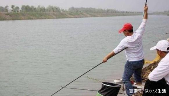 用这方法钓鳊鱼，鱼获基本都不会少，别说我没告诉你