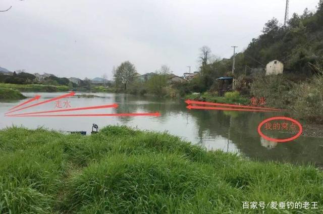 鳊鱼难钓？试试这五大招，招招有鱼来！新手学了马上爆护