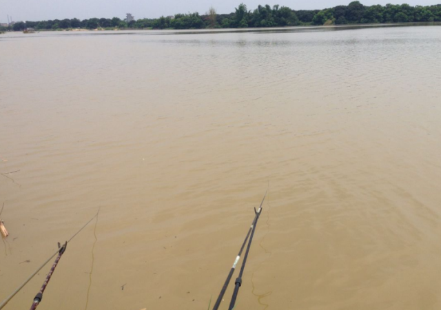 新手钓鳊鱼时，想要满载而归，就看老钓友的垂钓技巧分享！