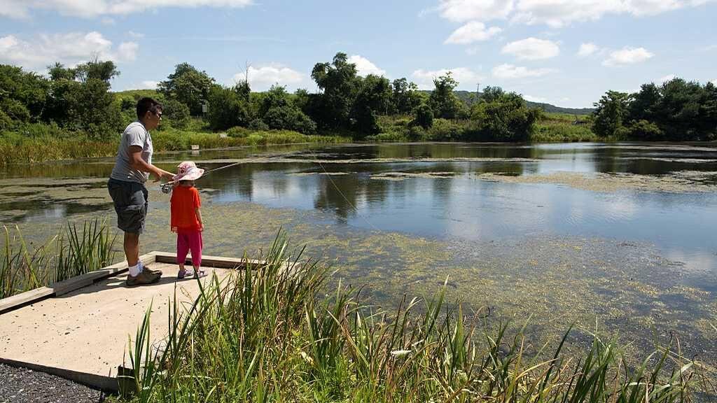 如何在夏季更好的钓到鳊鱼到爆护，看看这几个钓鱼技巧吧