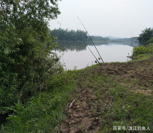 夏初钓鳊鱼的一些方法