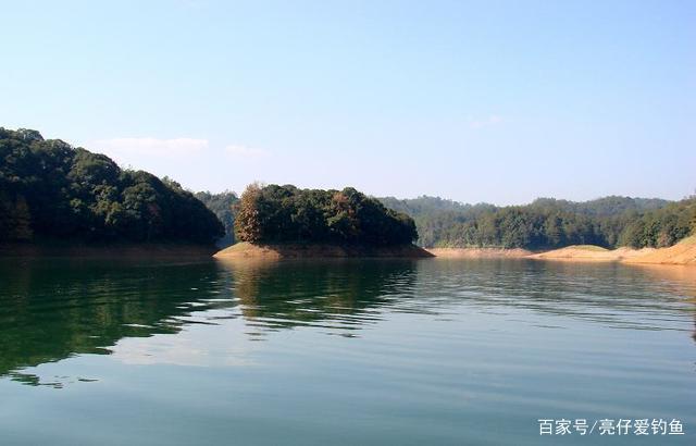 分享黄田水库实战垂钓鳊鱼经历！详细解析调三钓三垂钓鳊鱼的优点
